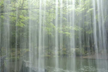 鍋ヶ滝の落水と緑