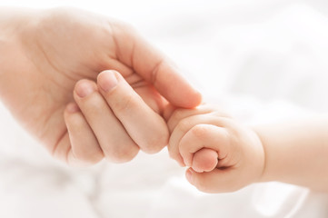 Hand of the child in a hand of mother - 66325785