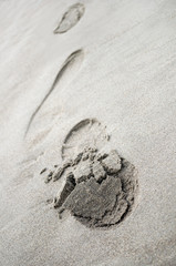 footprints on the sand