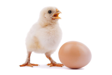 Chicken and egg.