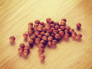 coriander seeds  old vintage retro style