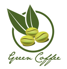Green coffee illustration vector
