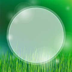 summer background with green grass