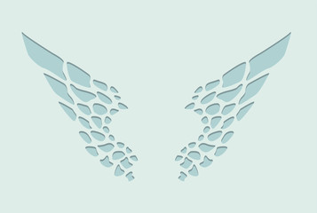 Obraz premium simple abstract wings