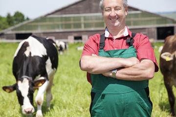 farmer with milk churns at his cows