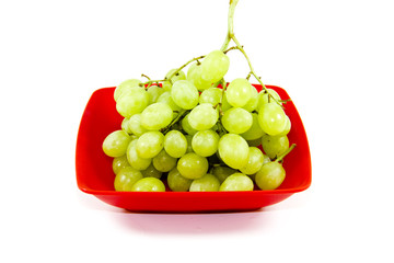 Frische Grüne Trauben