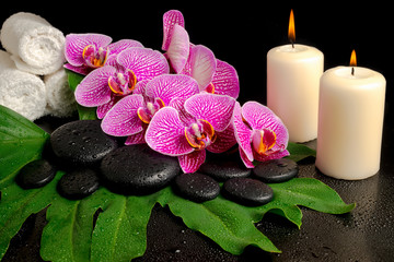 Obraz na płótnie Canvas spa set of blooming twig of stripped violet orchid (phalaenopsis