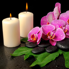 spa set of blooming twig of stripped violet orchid (phalaenopsis