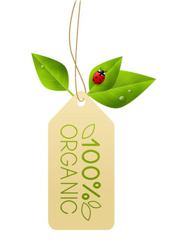 Ecology paper tag with green leaves