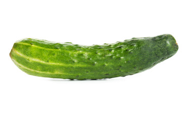 Cucumber