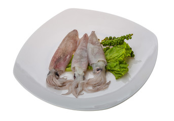 Raw calamari