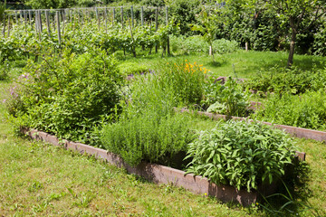Kräutergarten