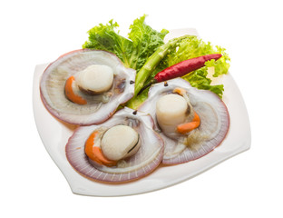 Raw fresh scallop