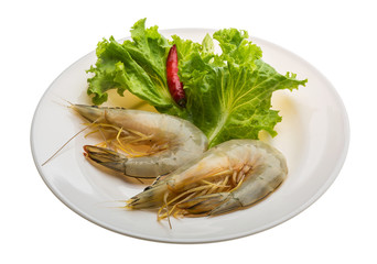 Tiger prawn