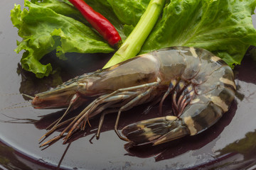 Tiger prawn
