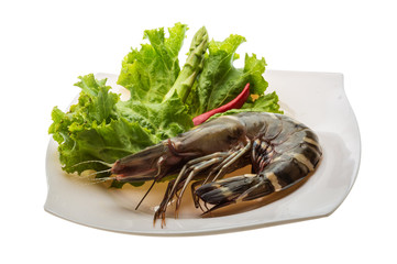 Tiger prawn