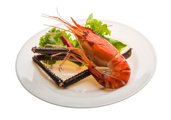 Giant Freshwater Prawn