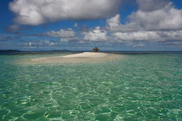 Keuken spatwand met foto Morpion PSV st vincent and the grenadines caribbean 10 © into the wild