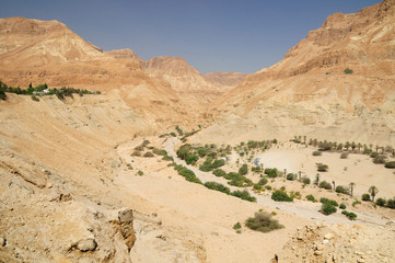 Fototapeta na wymiar Natural desert landscape at the dead sea area. Israel.