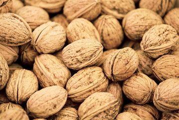 Walnüsse