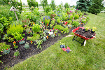 Garden tools laying on the ground