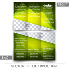 Tri fold corporate business store brochure