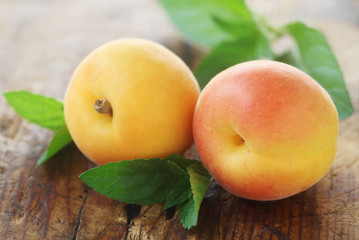 Apricots