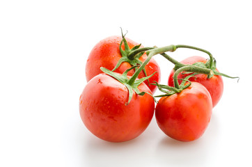 Tomato isolated on white