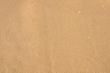Fototapeta na wymiar Sandy beach background. Detailed sand texture. Top view