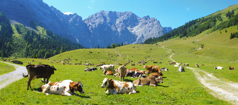 Panorama Landschaft in Bayern