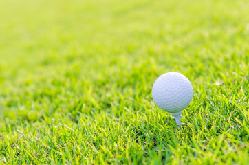 Golf ball on green grass