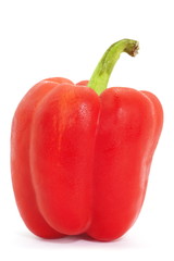 food ingredient and vegetable , red bell pepper