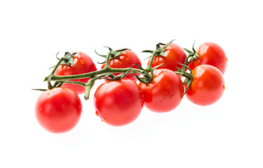 Tomatos