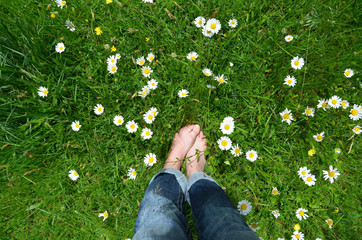 F&uuml;&szlig;e in Blumenwiese