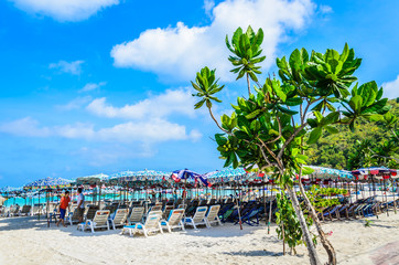 koh larn island tropical beach in pattaya city Thailand