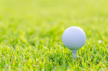 Golf ball on green grass