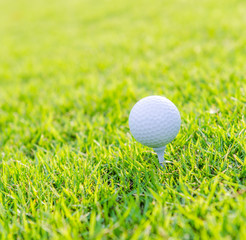 Golf ball on green grass