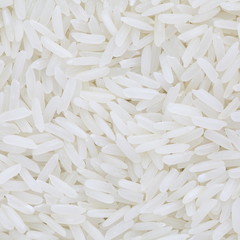 Background of the long white rice grains