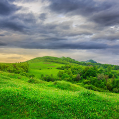 Obraz premium trees near valley in mountains