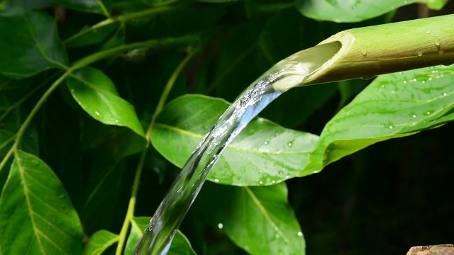 cane made ​​from wood natural fountain