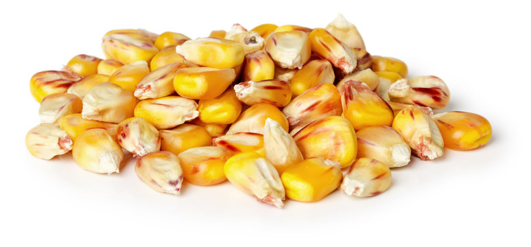 corn seeds on the white background