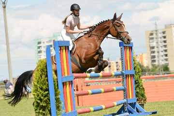 horse jumping