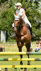 horse jumping