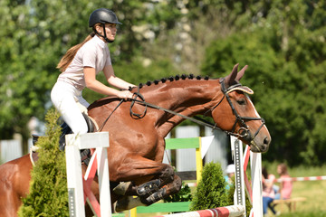 horse jumping
