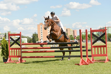 horse jumping