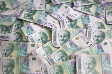 Fototapeta na wymiar Serbian Currency - A Heap of 5000 Dinar Banknotes