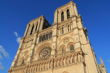 Fototapeta premium Cathédrale Notre Dame de Paris