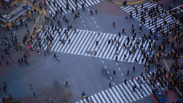 City Pedestrian Traffic Shibuya Tokyo