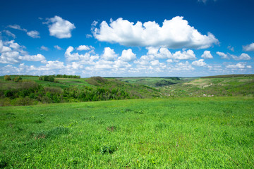 Obraz premium field