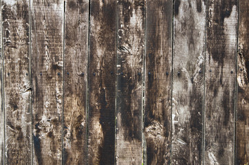 wood background